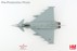 Bild von Eurofighter Typhoon EF-2000 31+17 TaktLwG 31 Boelcke 2019 Metallmodell 1:72 Hobby Master HA6612